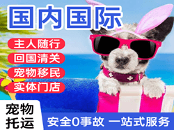 牡丹江海浪机场邮寄国际宠物托运 【国